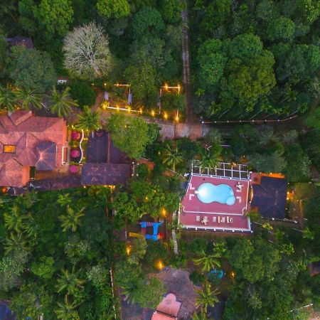 Ushasree Wayanad Heritage Premium Pool Resort By Voye Homes Ambalavayal Eksteriør billede